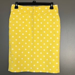 ANN TAYLOR PETITE skirt